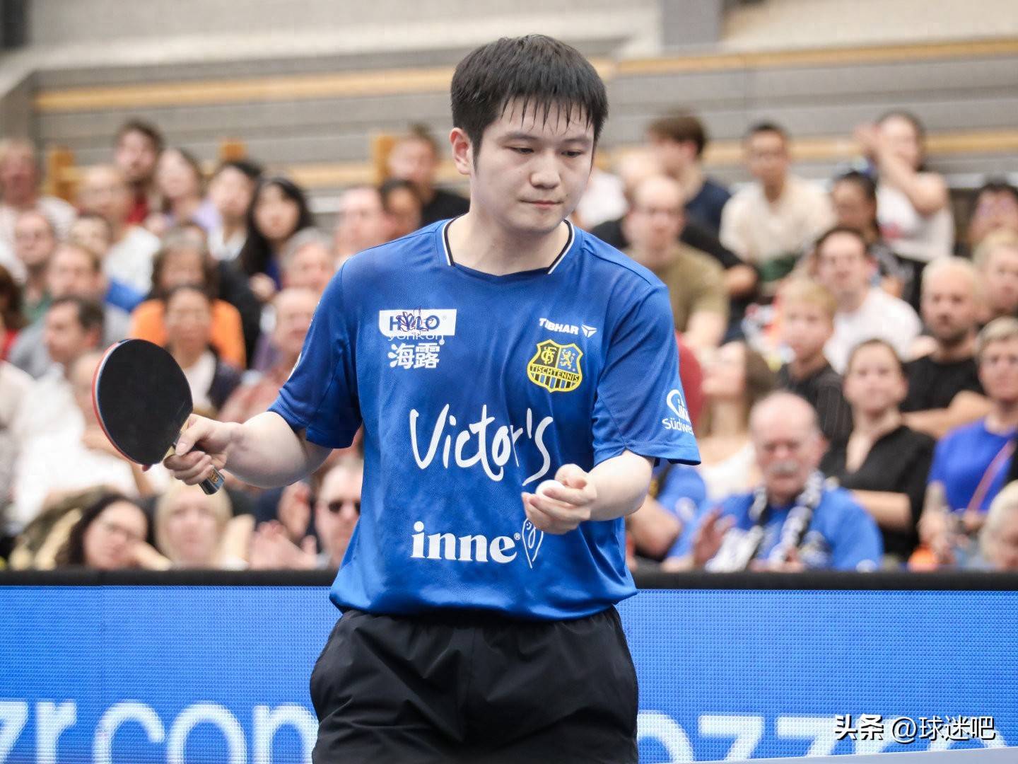 包含比利时乒乓球队碾压英国乒乓球队，樊振东统治全场的词条