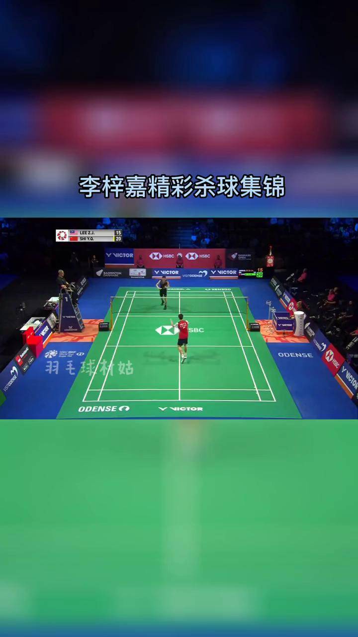 丹麦队绝杀法国队，李梓嘉扛起全队