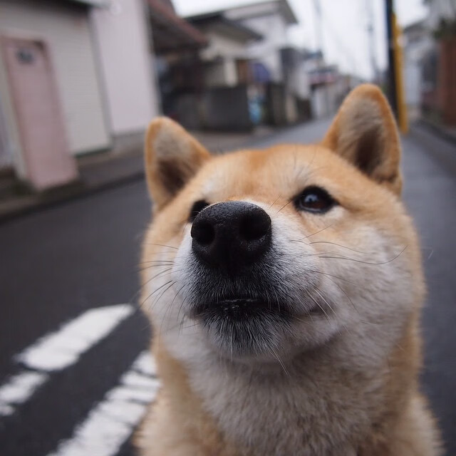 特奥彻底打爆防线，南非压哨绝杀巴西，非洲风暴席卷桑巴军团