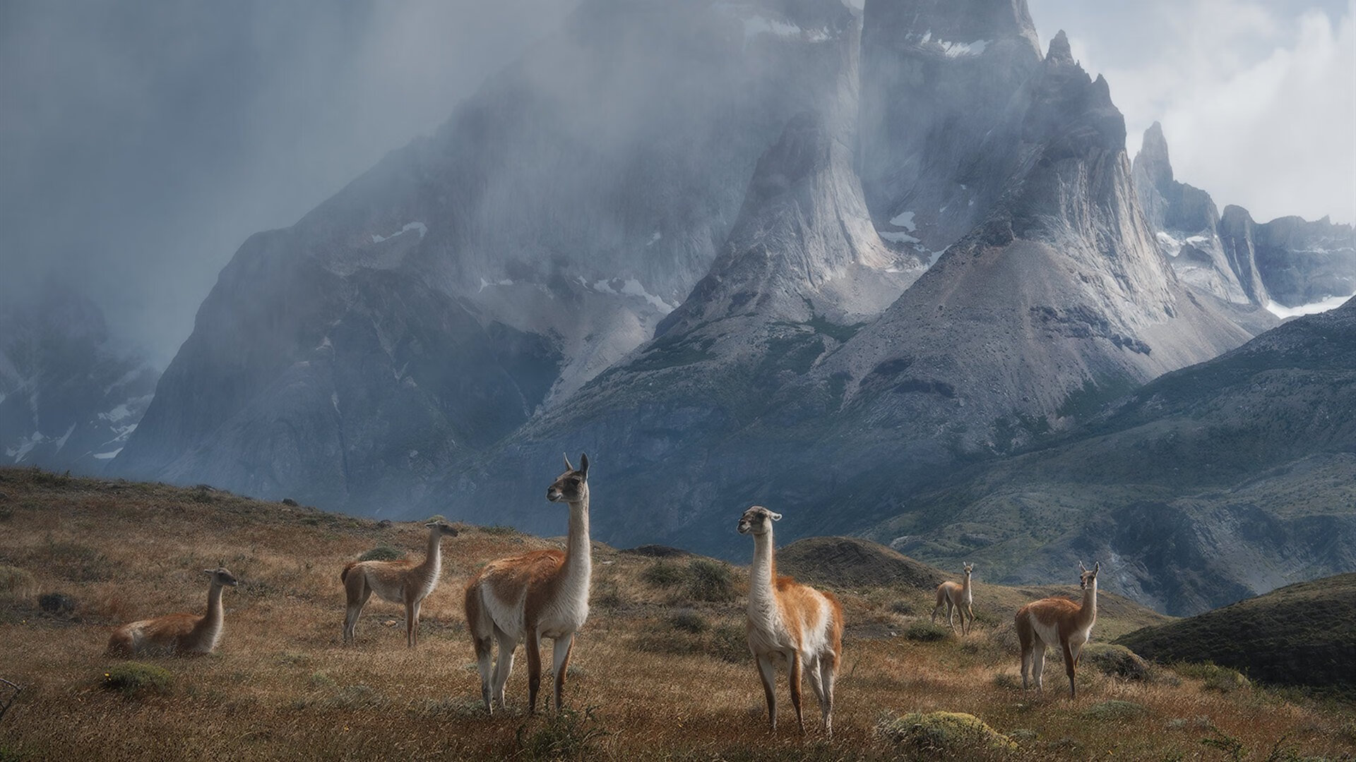 霍勒迪魔术时刻，一波流带走步行者，主宰比赛走向