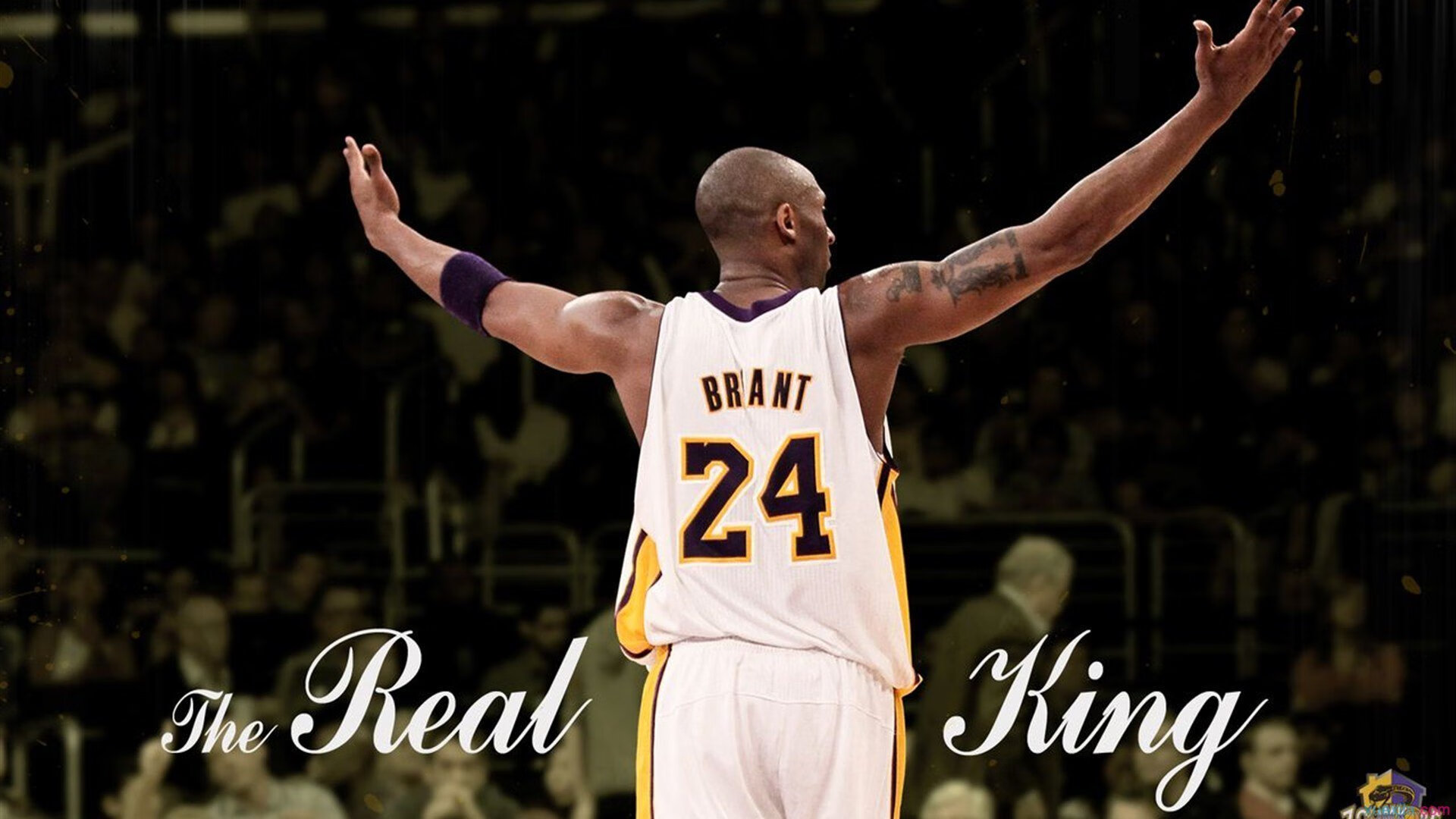 文班亚马惊艳四座，凯尔特人主场粉碎开拓者连胜幻想